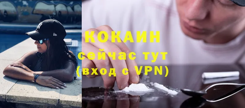 где найти   Анива  COCAIN VHQ 